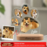 Veilleuse personnalisée avec Photo de chien, cadeau commémoratif pour animaux de compagnie, Plaque commémorative pour animaux de compagnie, cadeau Photo de chat, cadeau personnalisé pour la perte d'animaux de compagnie Ma boutique