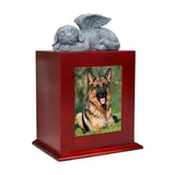 Pet Urn + Frame photo aimante Chine Sympathie Perte Caskets cadeau pour chiens pour Pet Top Sale Ma boutique