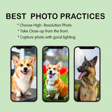Cadeau commémoratif pour animaux de compagnie Portrait personnalisé - Toile personnalisée pour chien et chat de photo - Art aquarelle pont arc-en-ciel Ma boutique