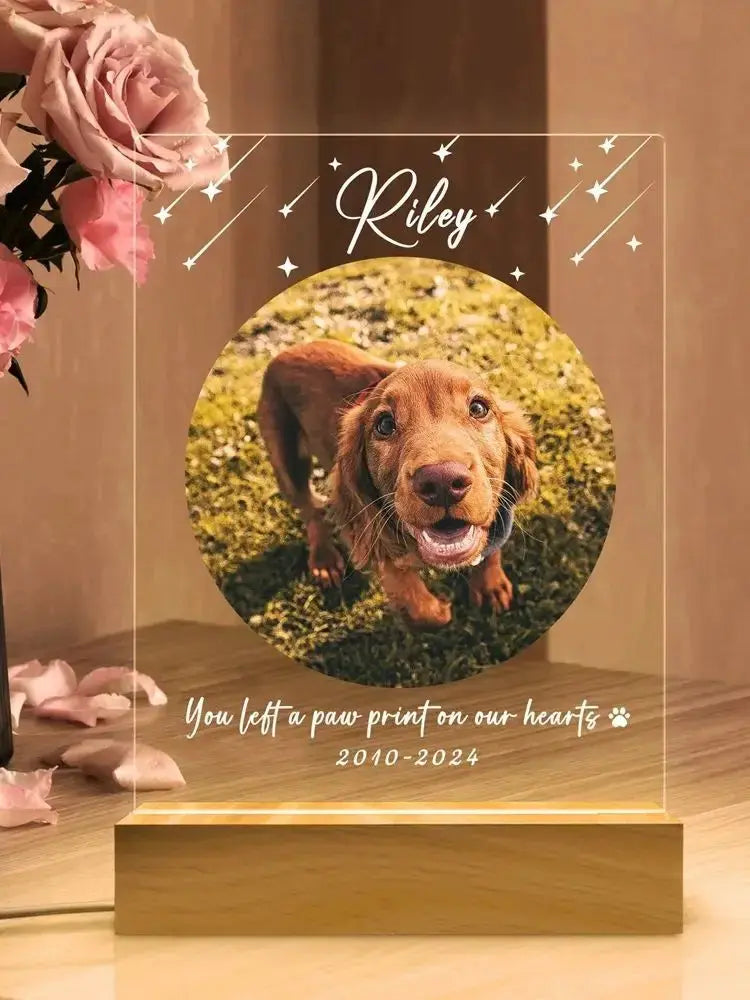 Veilleuse Photo personnalisée animaux de compagnie, lampe personnalisé de noël, cadeau de sympathie pour chat, chien, perte d'animal de compagnie