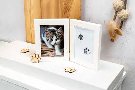 Comment-puis-je-me-souvenir-de-mon-chien-ou-de-mon-chat-décédé Cadeau Personnalisés