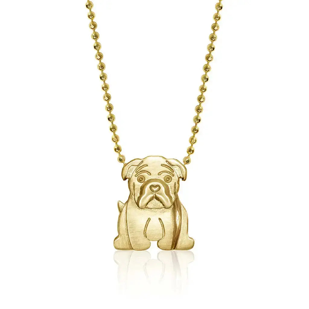 Collier en acier inoxydable pour chiot, pendentif en diamant pour chien, corrida, corgi, caniche, chaîne de clavicule à retention de couleur plaquée or Ma boutique