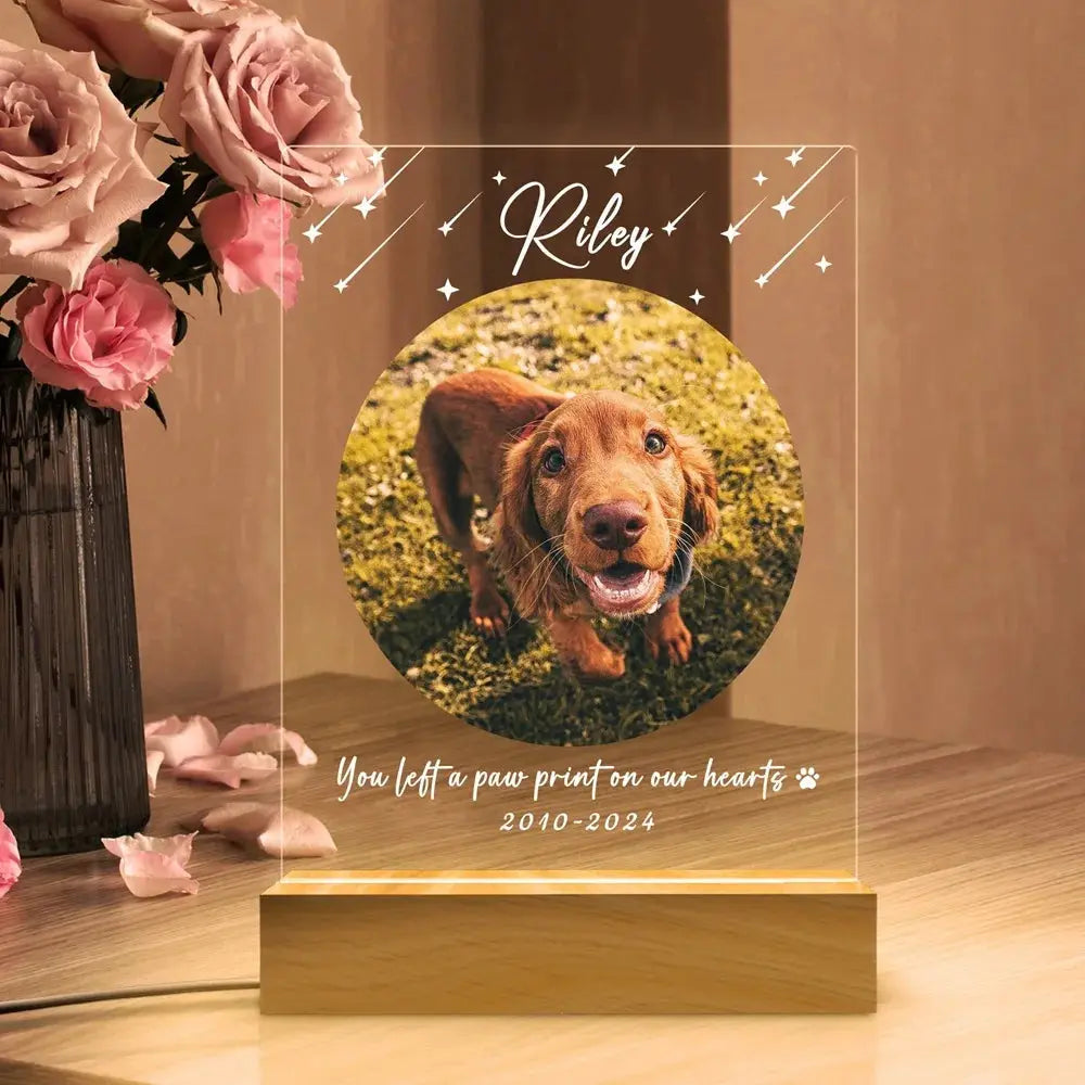 Cadeau commémoratif pour animaux de compagnie, Plaque Photo personnalisée pour animaux de compagnie, cadre personnalisé de noël, cadeau de sympathie pour chat, chien, perte d'animal de compagnie, cadeau de noël Ma boutique