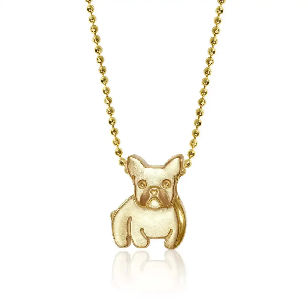 Collier en acier inoxydable pour chiot, pendentif en diamant pour chien, corrida, corgi, caniche, chaîne de clavicule à retention de couleur plaquée or Ma boutique