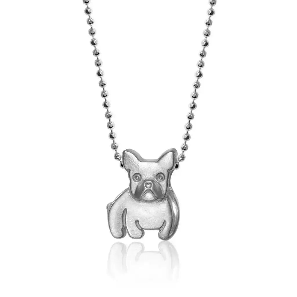 Collier en acier inoxydable pour chiot, pendentif en diamant pour chien, corrida, corgi, caniche, chaîne de clavicule à retention de couleur plaquée or