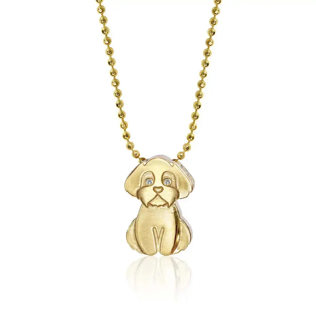 Collier en acier inoxydable pour chiot, pendentif en diamant pour chien, corrida, corgi, caniche, chaîne de clavicule à retention de couleur plaquée or Ma boutique