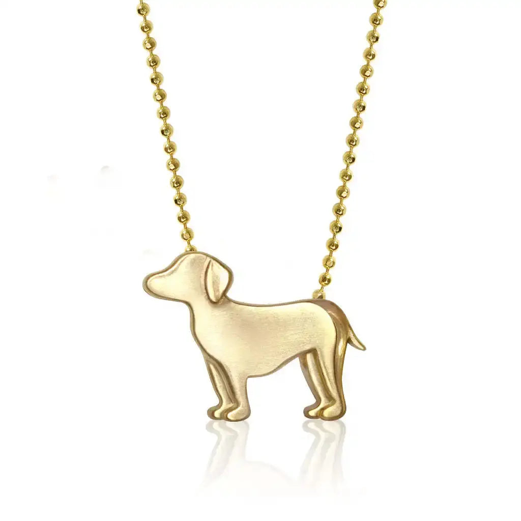 Collier en acier inoxydable pour chiot, pendentif en diamant pour chien, corrida, corgi, caniche, chaîne de clavicule à retention de couleur plaquée or Ma boutique