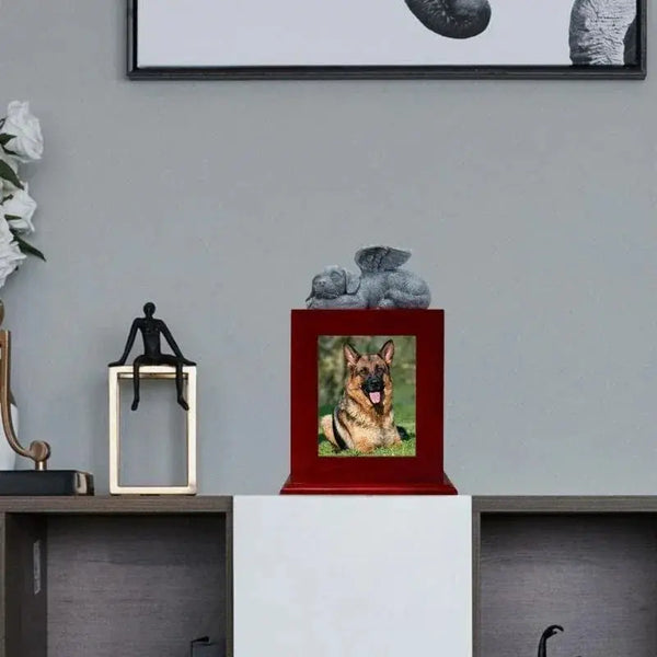 Pet Urn + Frame photo aimante Chine Sympathie Perte Caskets cadeau pour chiens pour Pet Top Sale Ma boutique