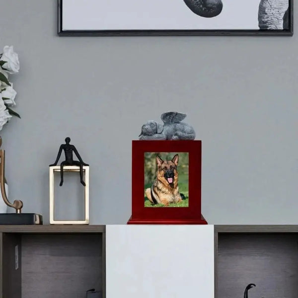 Pet Urn + Frame photo aimante Chine Sympathie Perte Caskets cadeau pour chiens pour Pet Top Sale Ma boutique