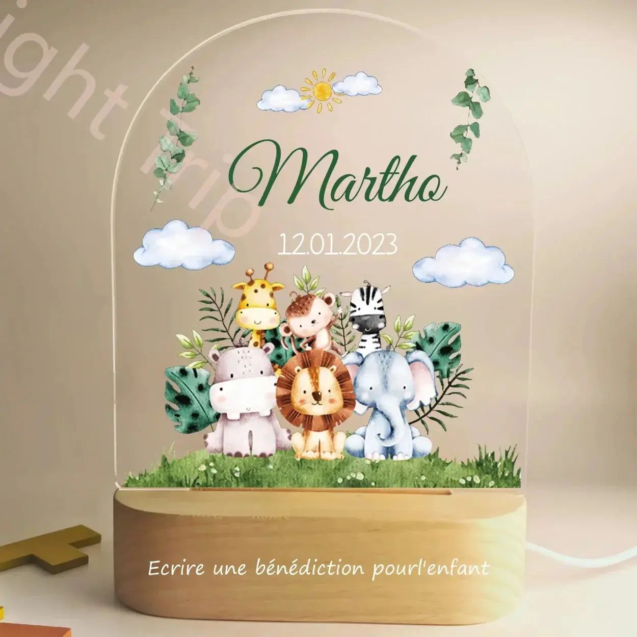 Veilleuse personnalisée bébé, nom personnalisé, Animal, ours, lapin, avec lampe USB, pour chambre à coucher, cadeau d'anniversaire et de noël Cadeaux Personnalisés – Idées Cadeaux Originales & Souvenirs Animaux Décédés