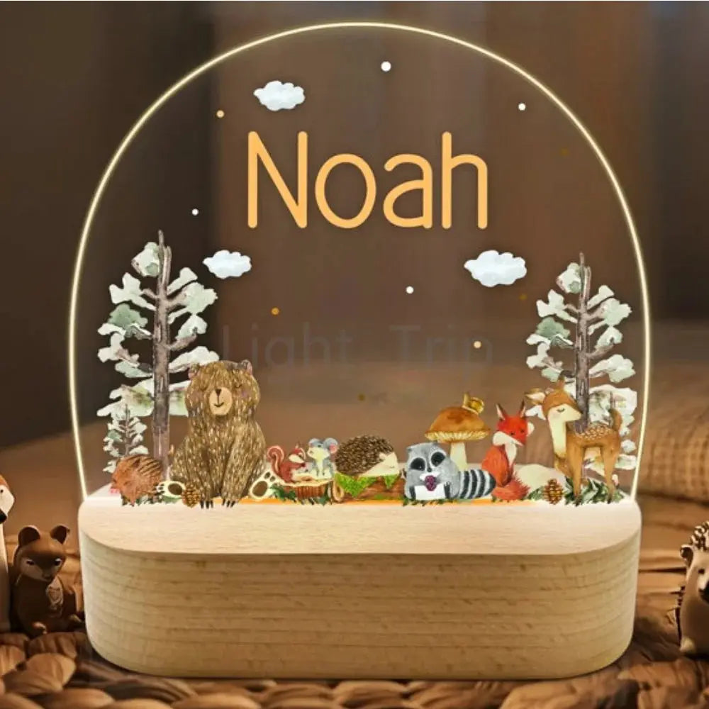 cadeau naissance bebe garcon veilleuse personnalisee