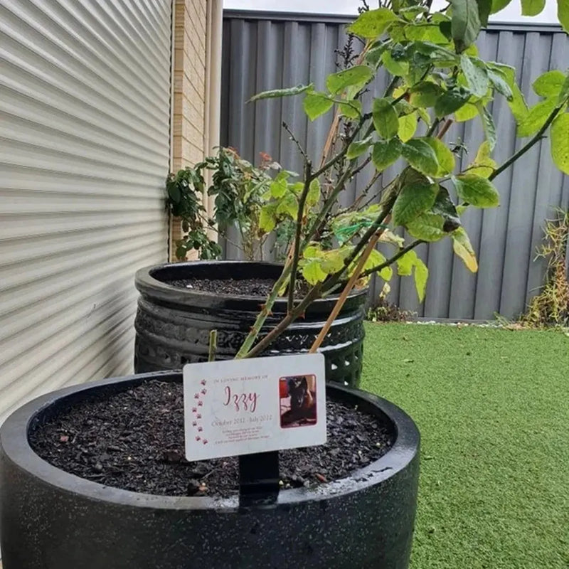 Piquet de jardin commémoratif personnalisé pour chien et chat, marqueur de perte de tombe pour animaux de compagnie, empreintes de pattes, plaque de jardin extérieure, cadeau pour animaux de compagnie Ma boutique