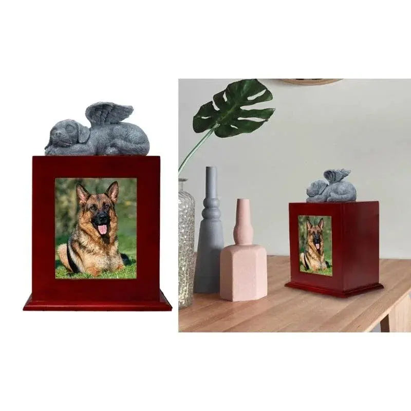 Pet Urn + Frame photo aimante Chine Sympathie Perte Caskets cadeau pour chiens pour Pet Top Sale Ma boutique