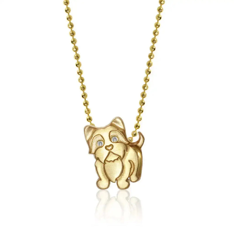 Collier en acier inoxydable pour chiot, pendentif en diamant pour chien, corrida, corgi, caniche, chaîne de clavicule à retention de couleur plaquée or Ma boutique