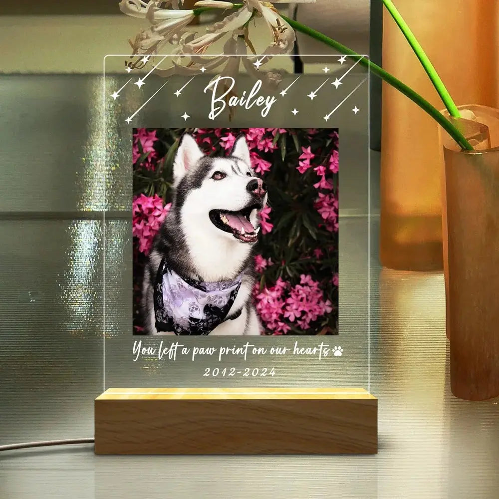 Veilleuse Photo personnalisée animaux de compagnie, lampe personnalisé de noël, cadeau de sympathie pour chat, chien