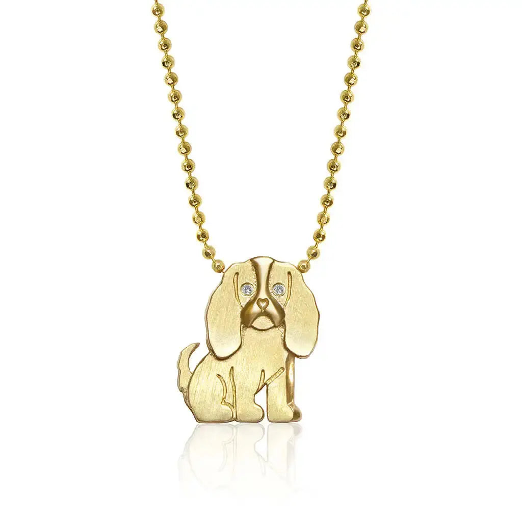 Collier en acier inoxydable pour chiot, pendentif en diamant pour chien, corrida, corgi, caniche, chaîne de clavicule à retention de couleur plaquée or Ma boutique